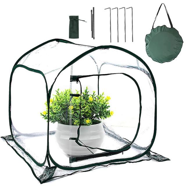invernadero plantas aliexpress