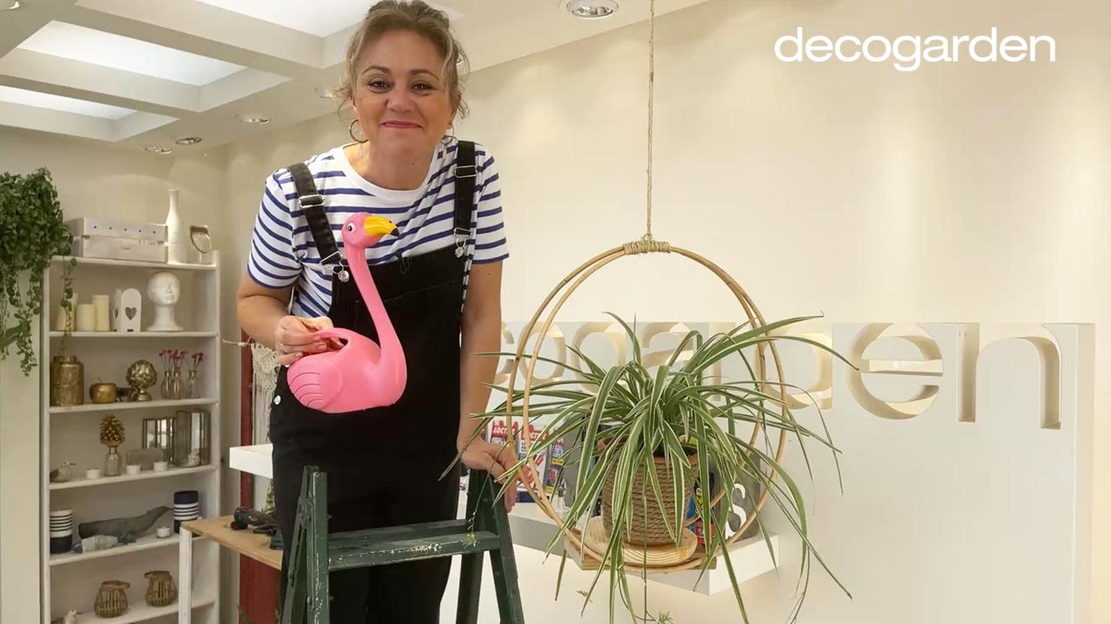 hacer soporte colgar plantas interior