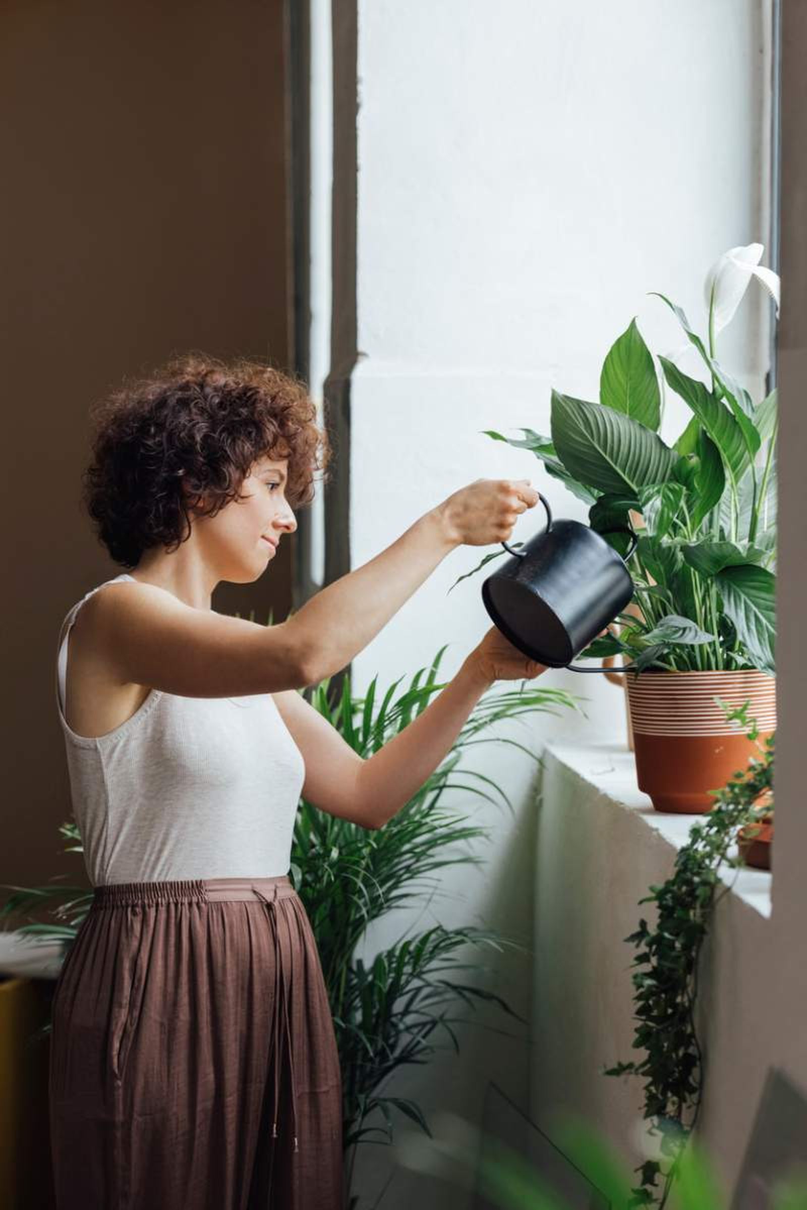Cada planta requiere frecuencias de riego diferentes