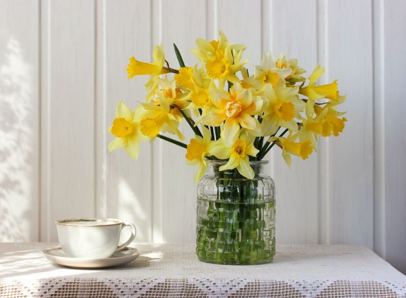 Narciso