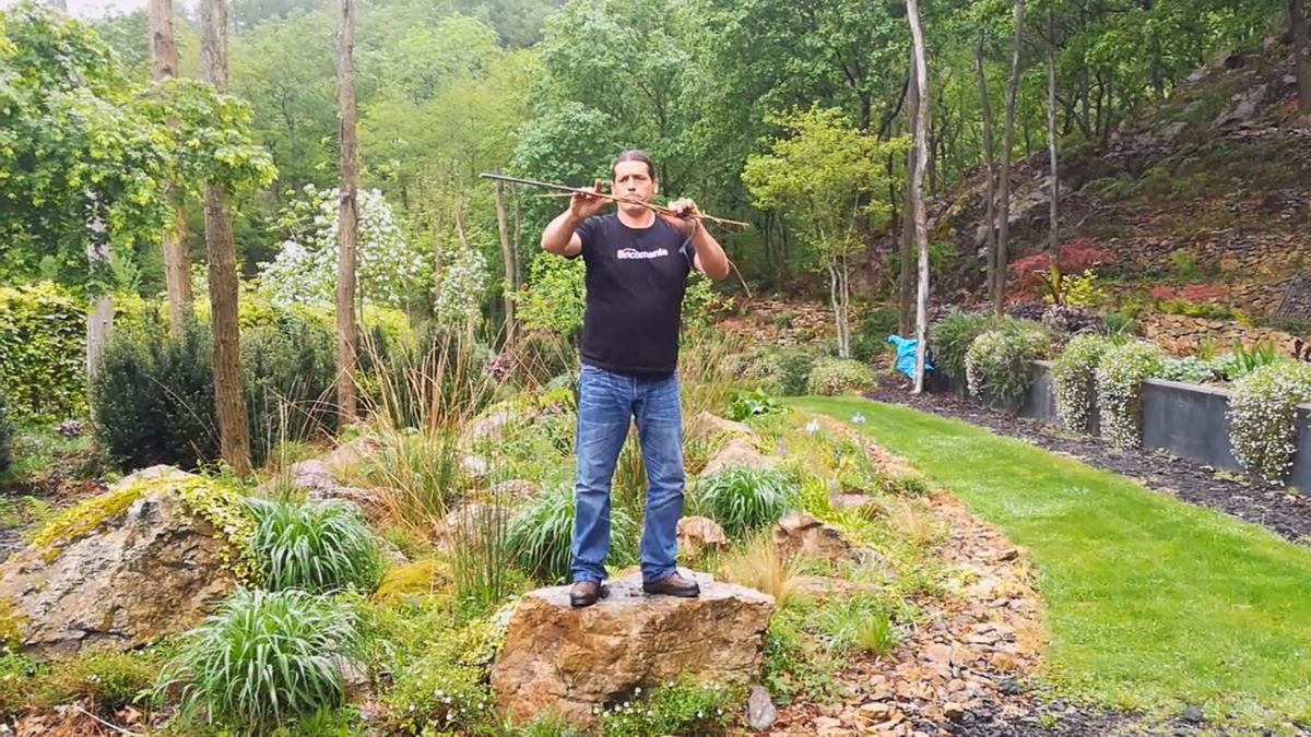 entrelazar ramas tunel sombra detalle