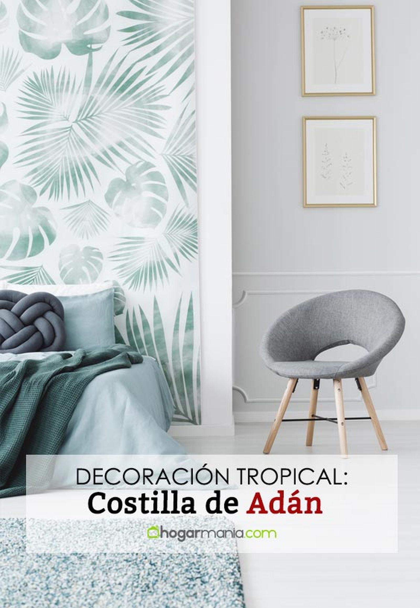 costilla de adan ultima moda decoracion pin