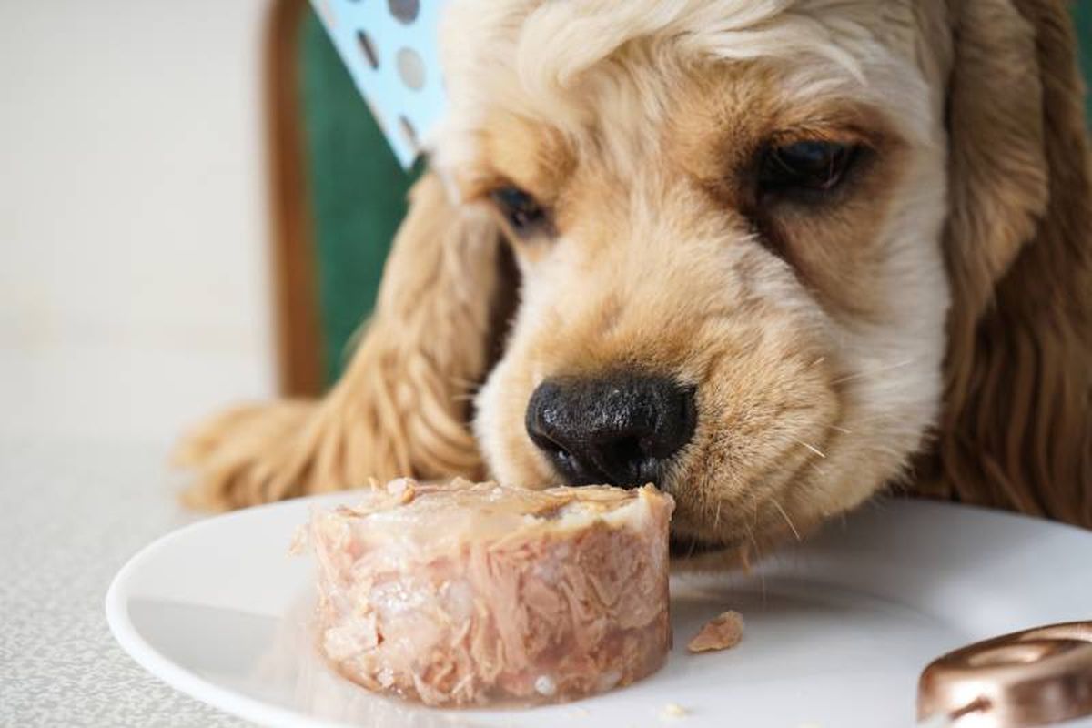 La regla de multiplicar por siete no es un fiel reflejo de la realidad.