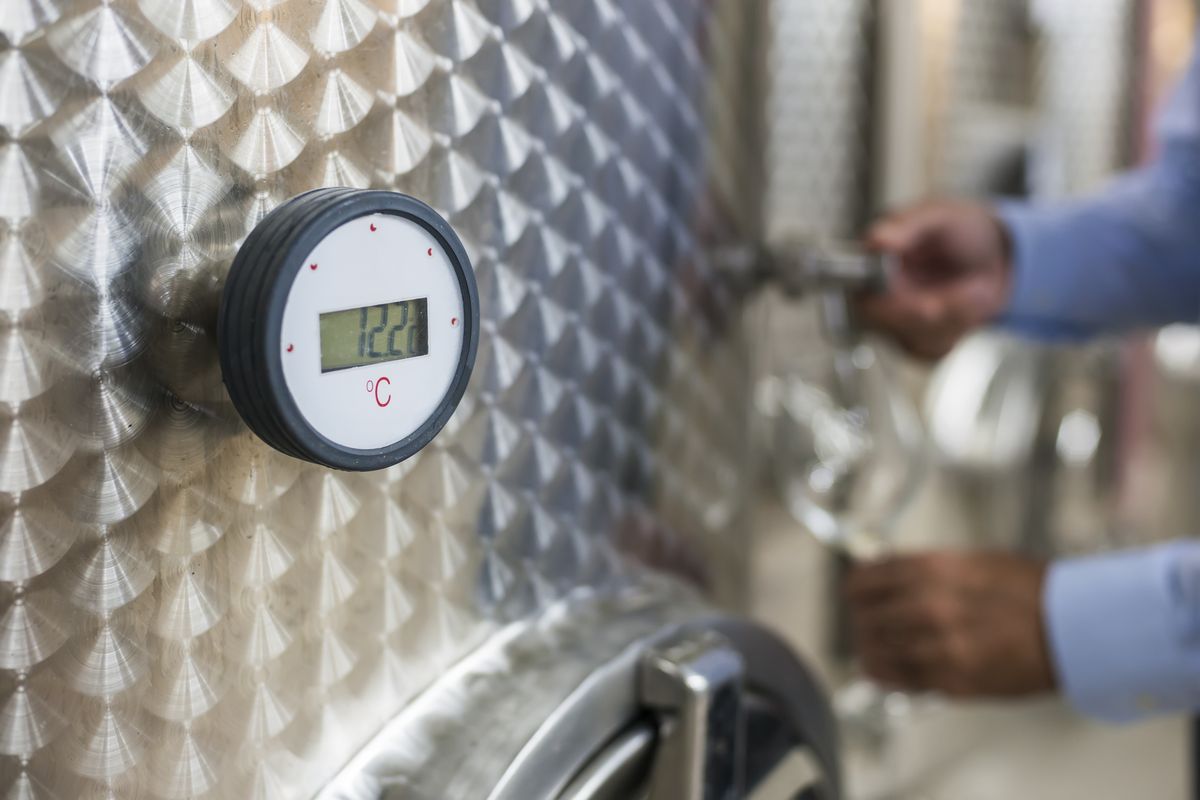 temperatura del vino