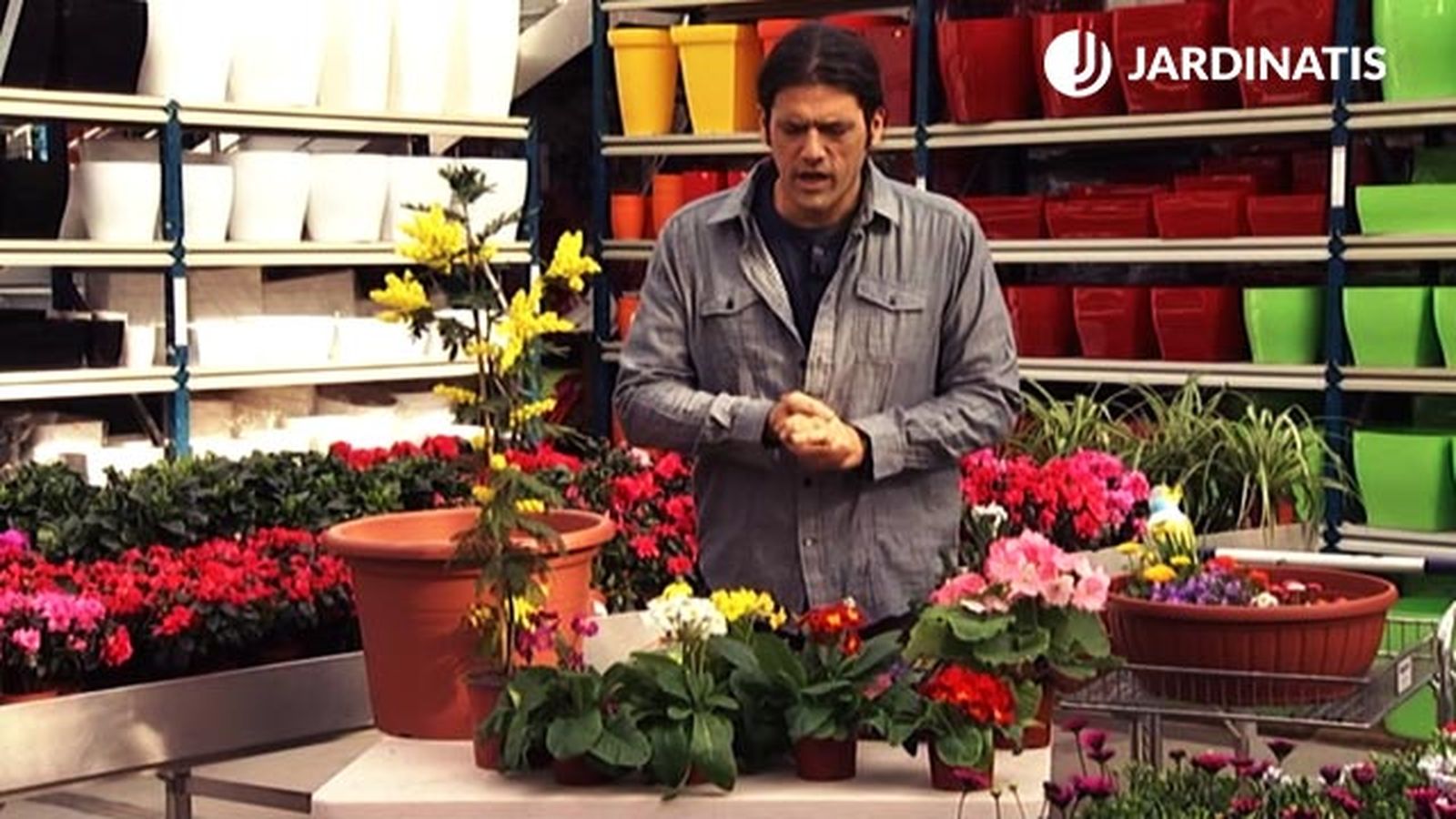 flores para principios primavera deco 425 jardin