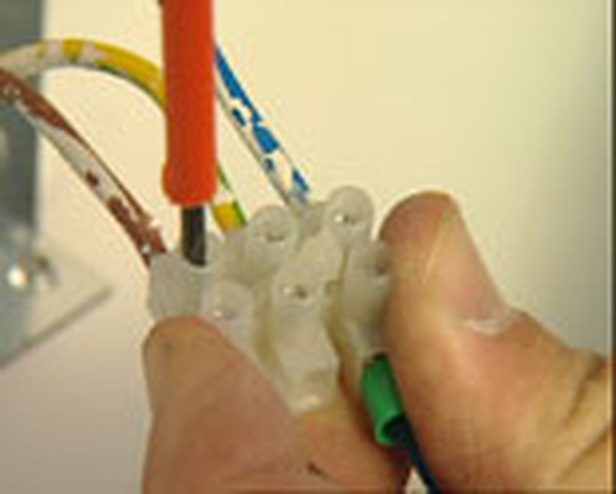 462 apli braz mov p09