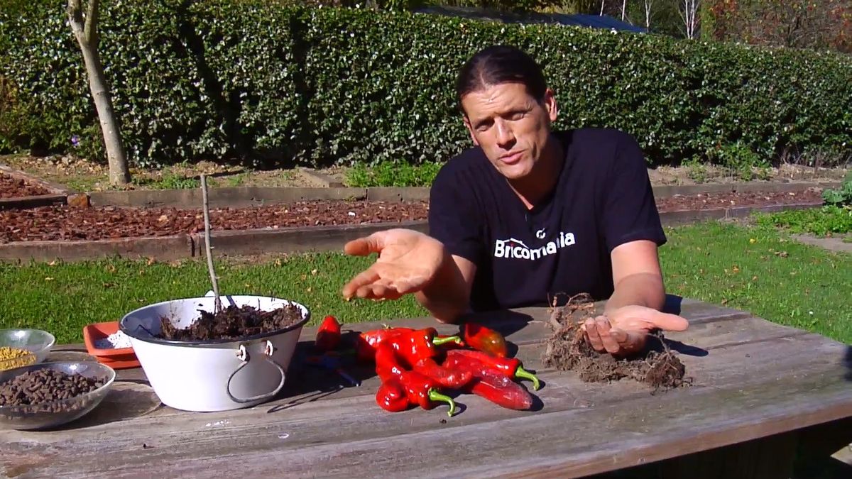 BRICO_JARDIN_852_Fijacion de nitrogeno atmosferico xl