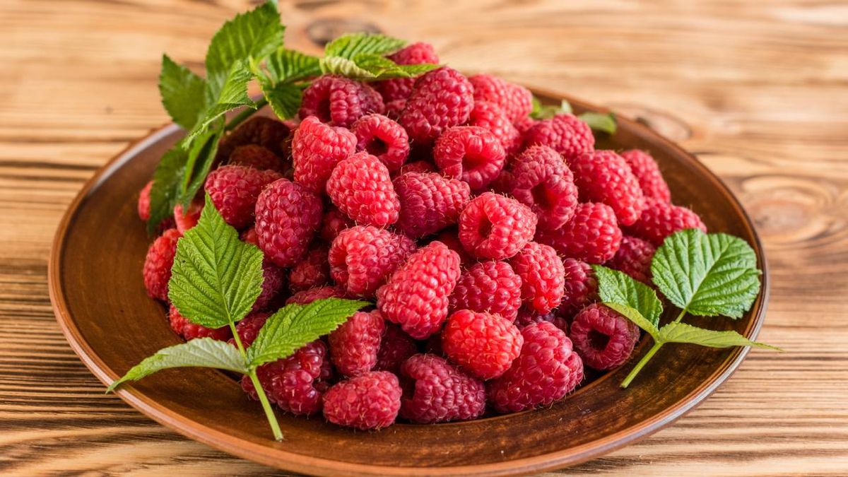 frambuesas tipos y propiedades