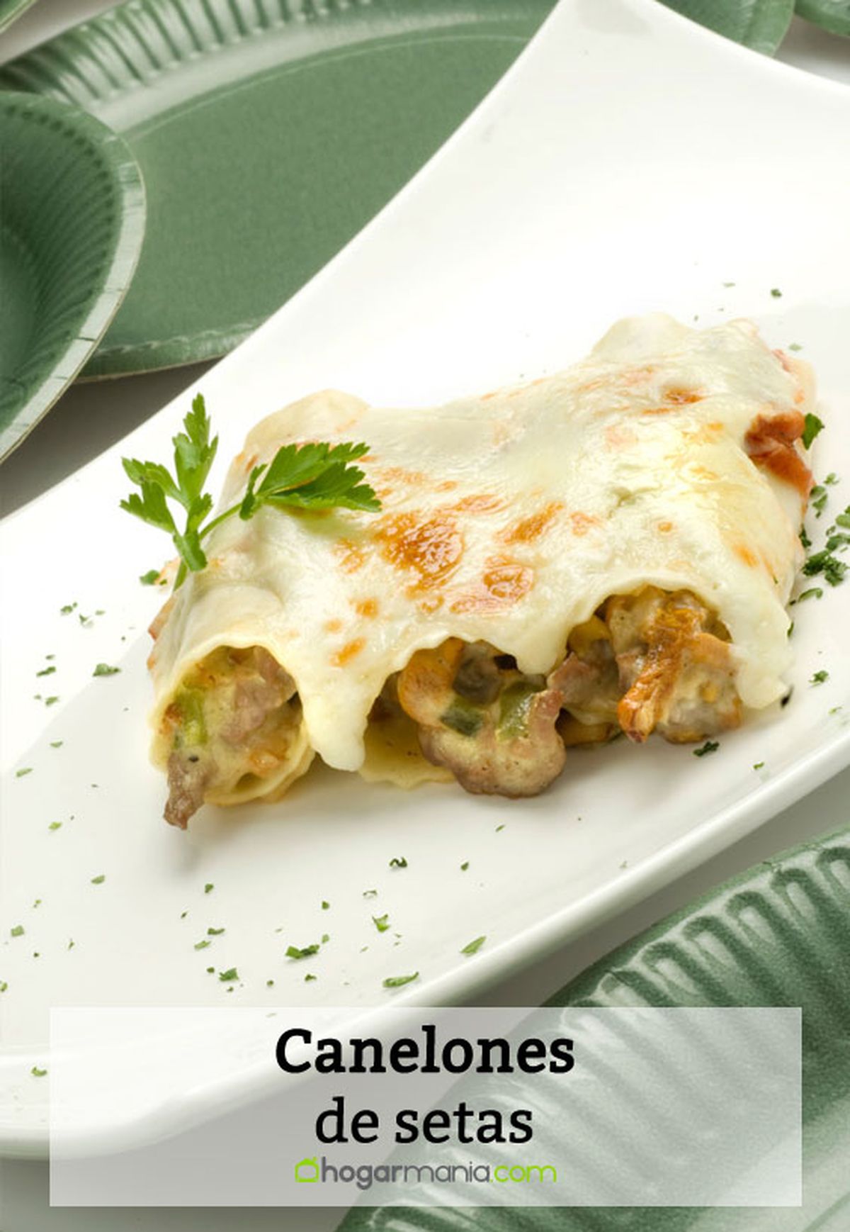 canelones setas pin