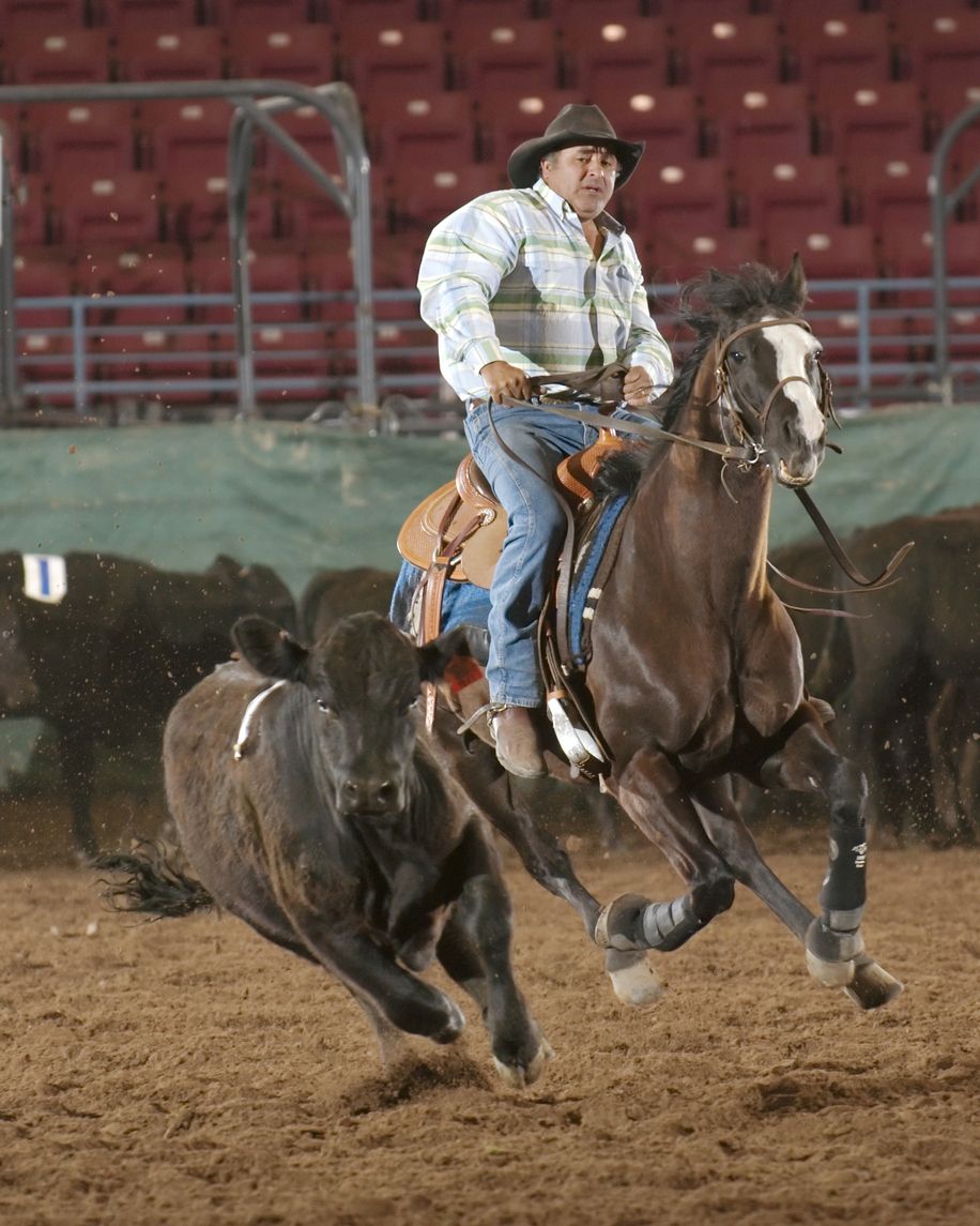 Team penning,