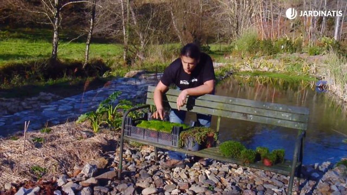 plantas caminos jardin brico 859