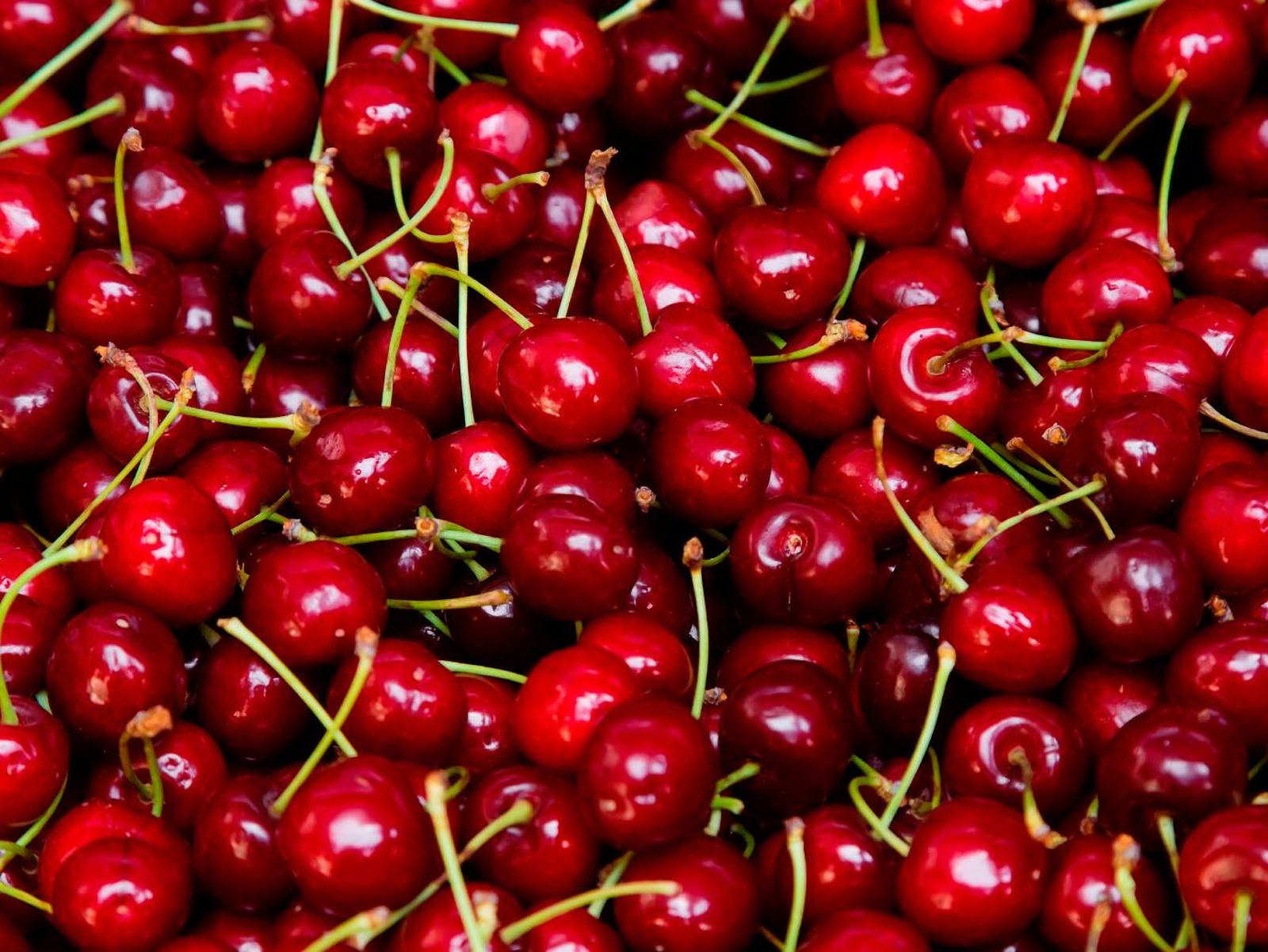 Las cerezas son más grandes y tienen rabito, diferencia con las picotas