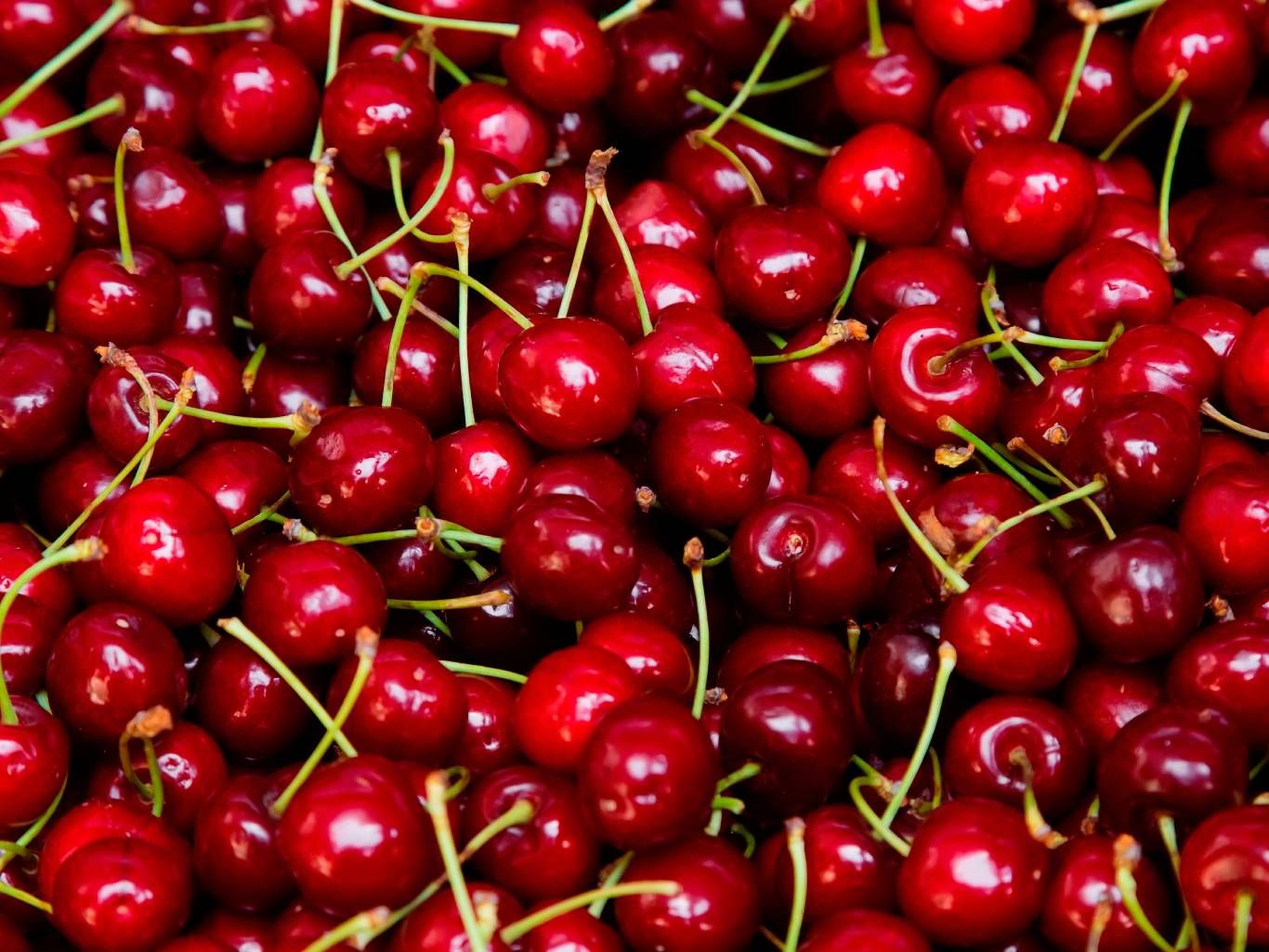 Las cerezas son más grandes y tienen rabito, diferencia con las picotas