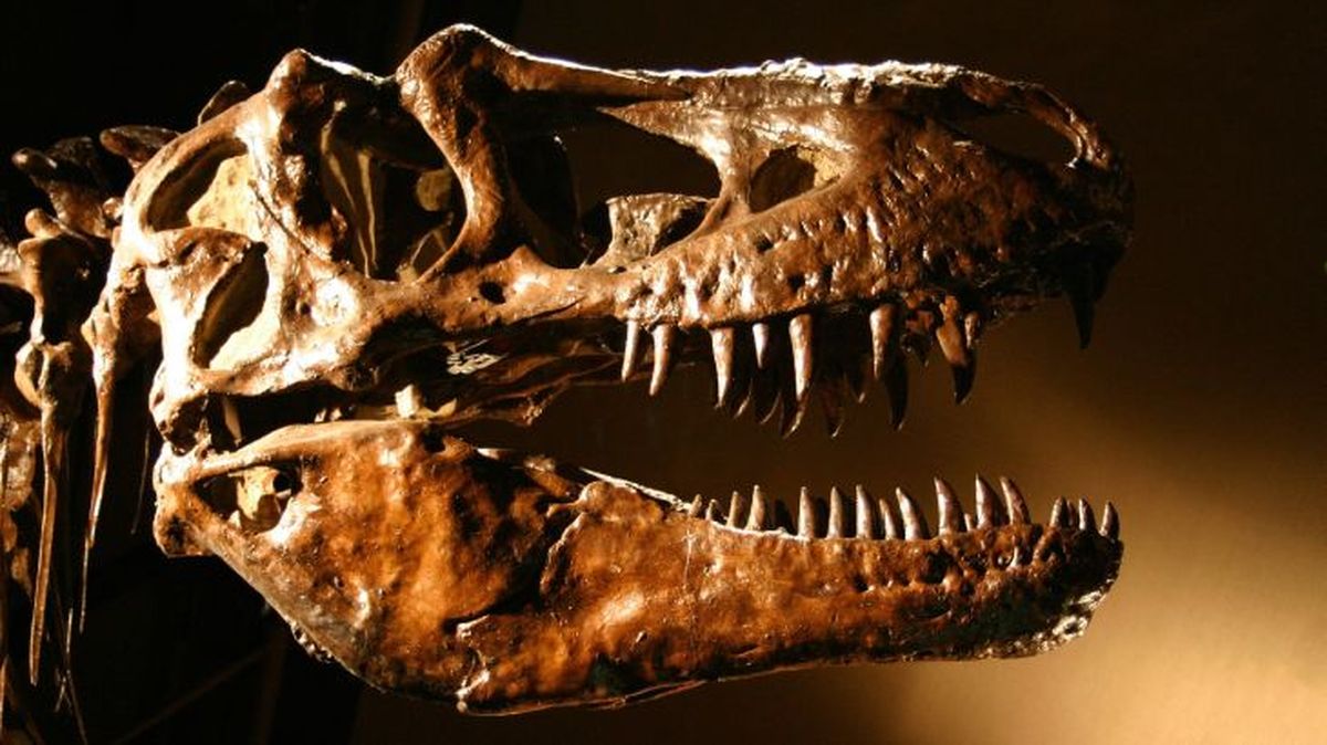 como eran los dinosaurios 2