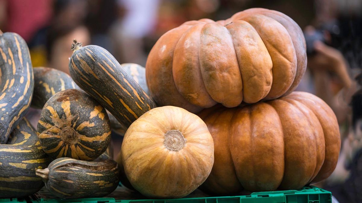 Técnica cómo asar calabaza en el microondas  calabazas