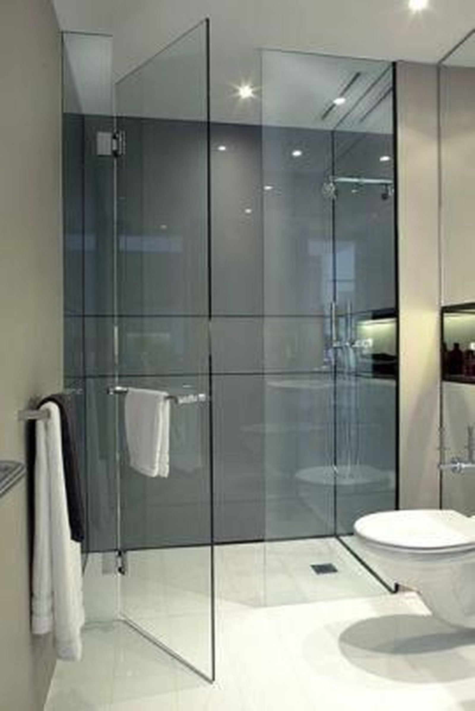 ducha puertas abatibles 2