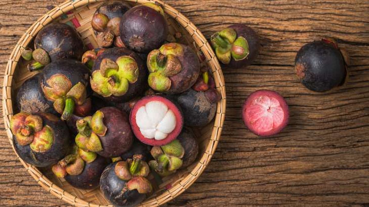 mangostan como elegir