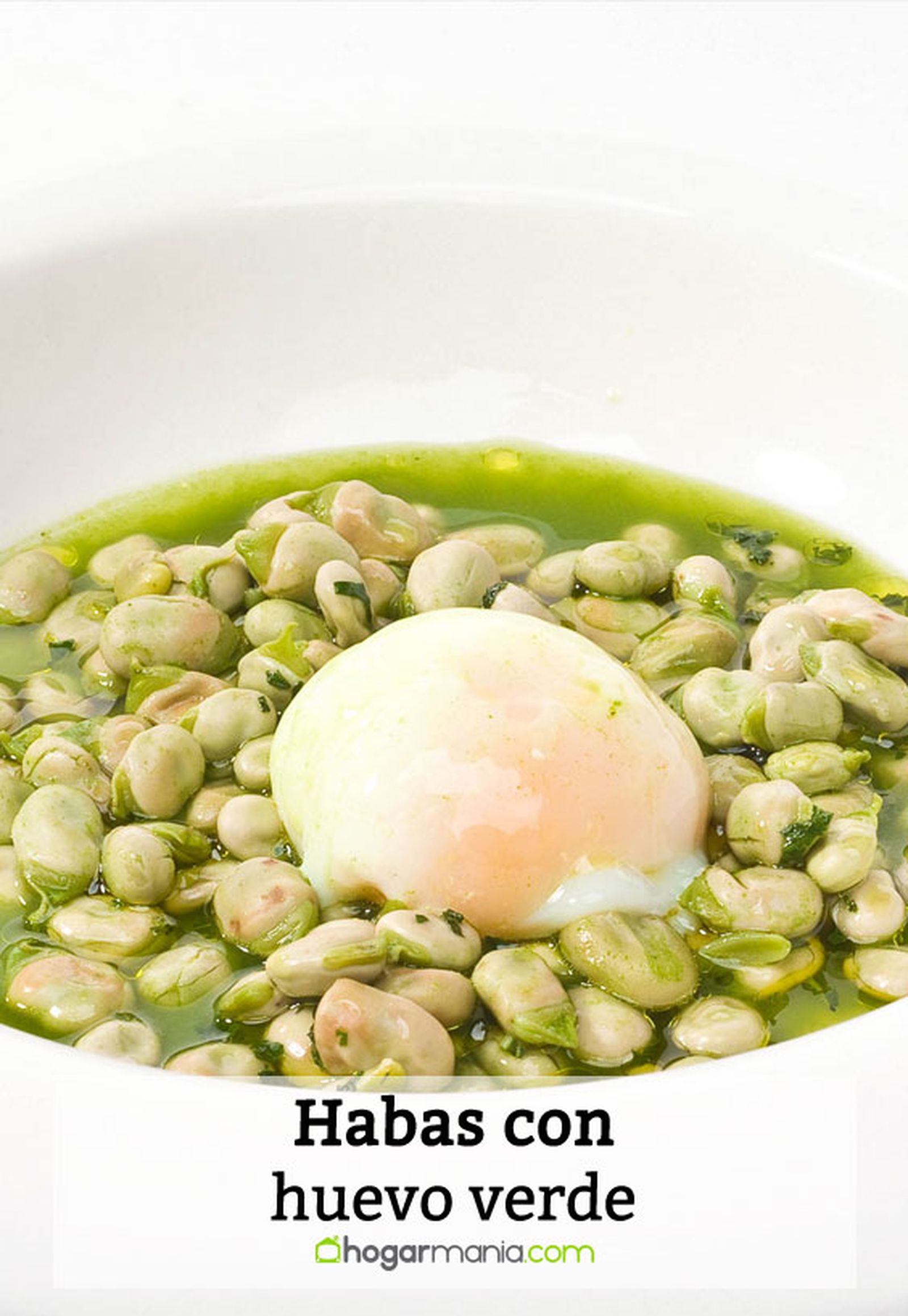 habas huevo verde pin