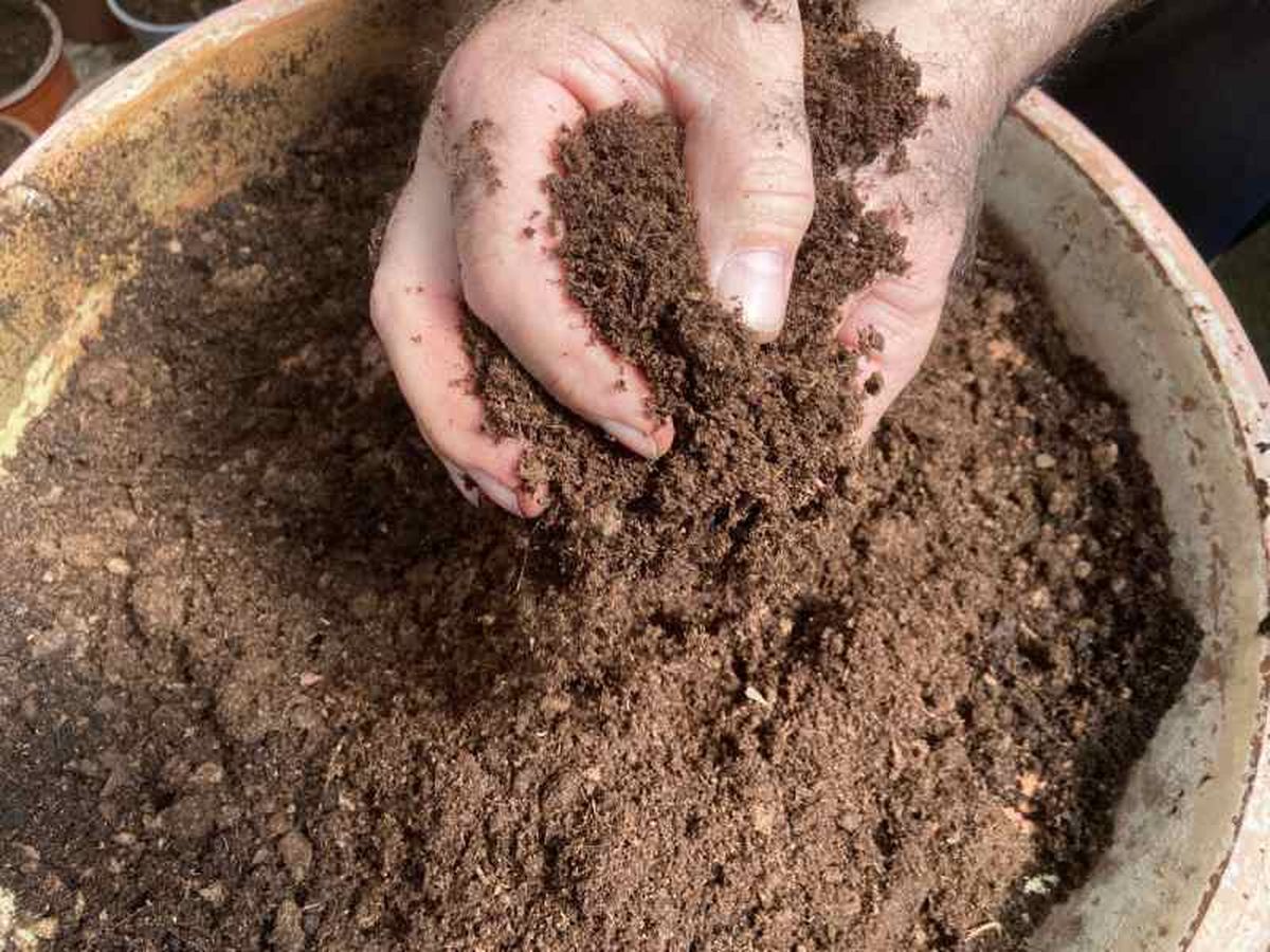 El momento adecuado para cambiar la tierra de tus macetas depende de varios factores