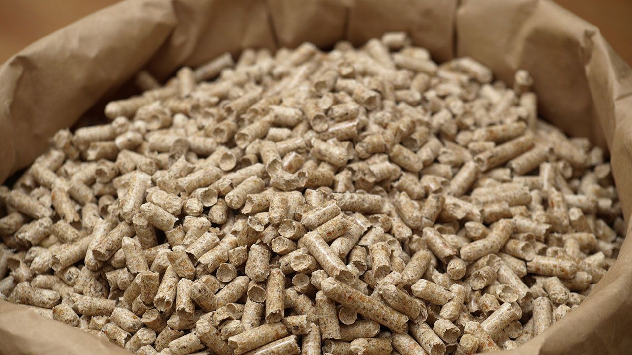 Que son los pellets