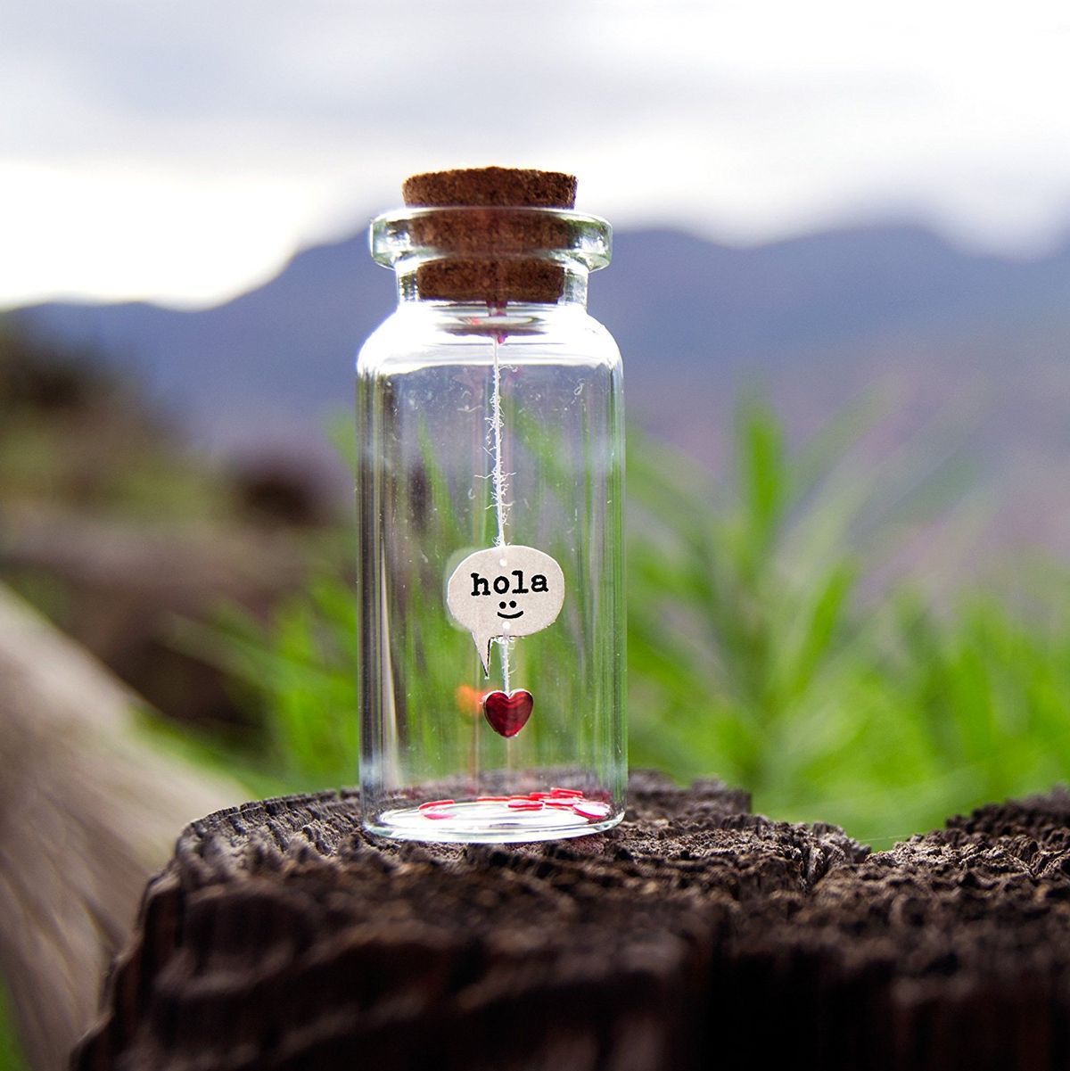 81Akyu7AbSL._SL1500_[1]