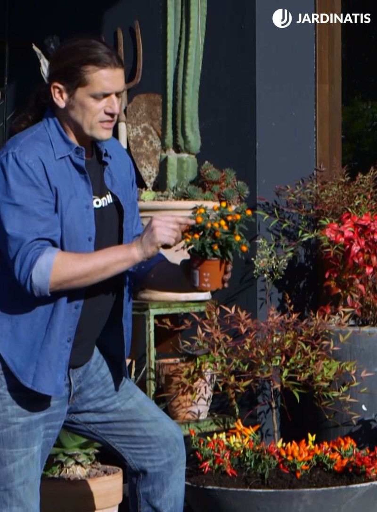 El tomatito de Jerusalén combina bien junto a otras plantas de colores