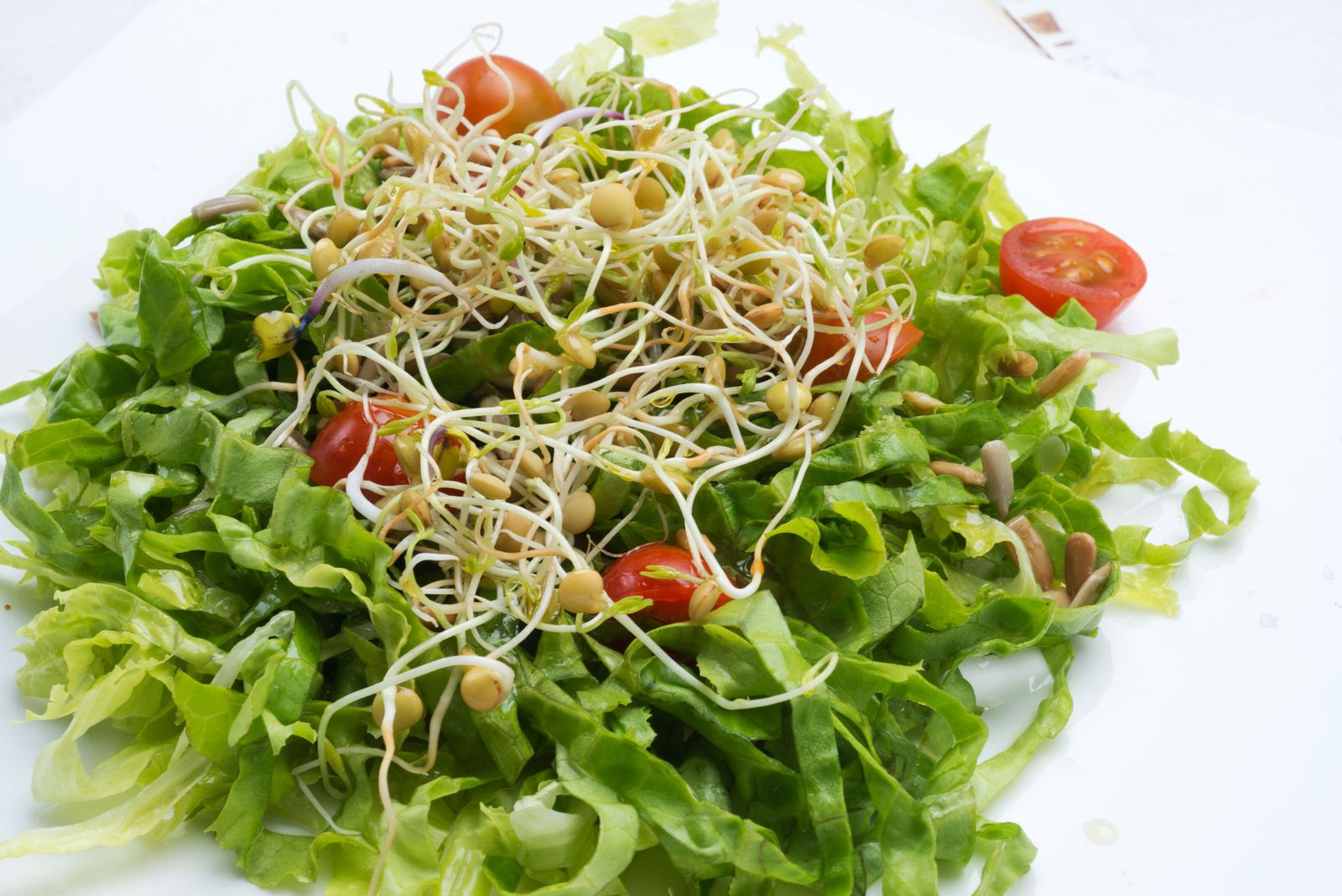 5621 2 ensalada germinados xl