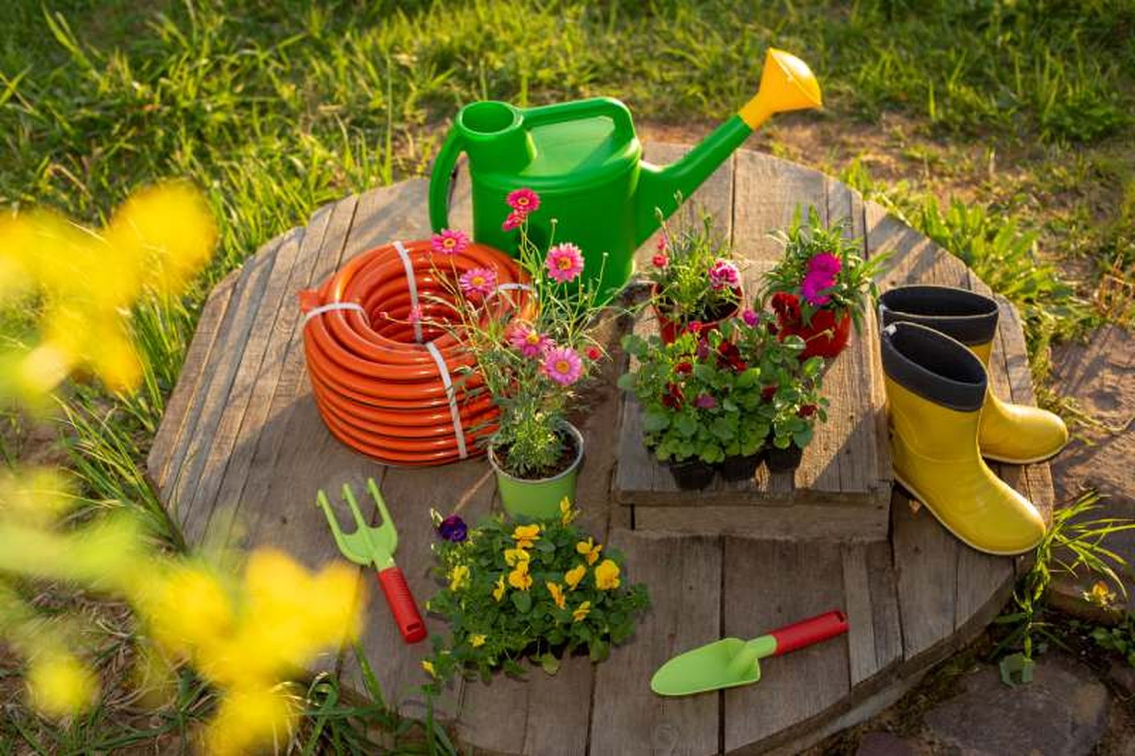 Mezcla de regalos de jardinería