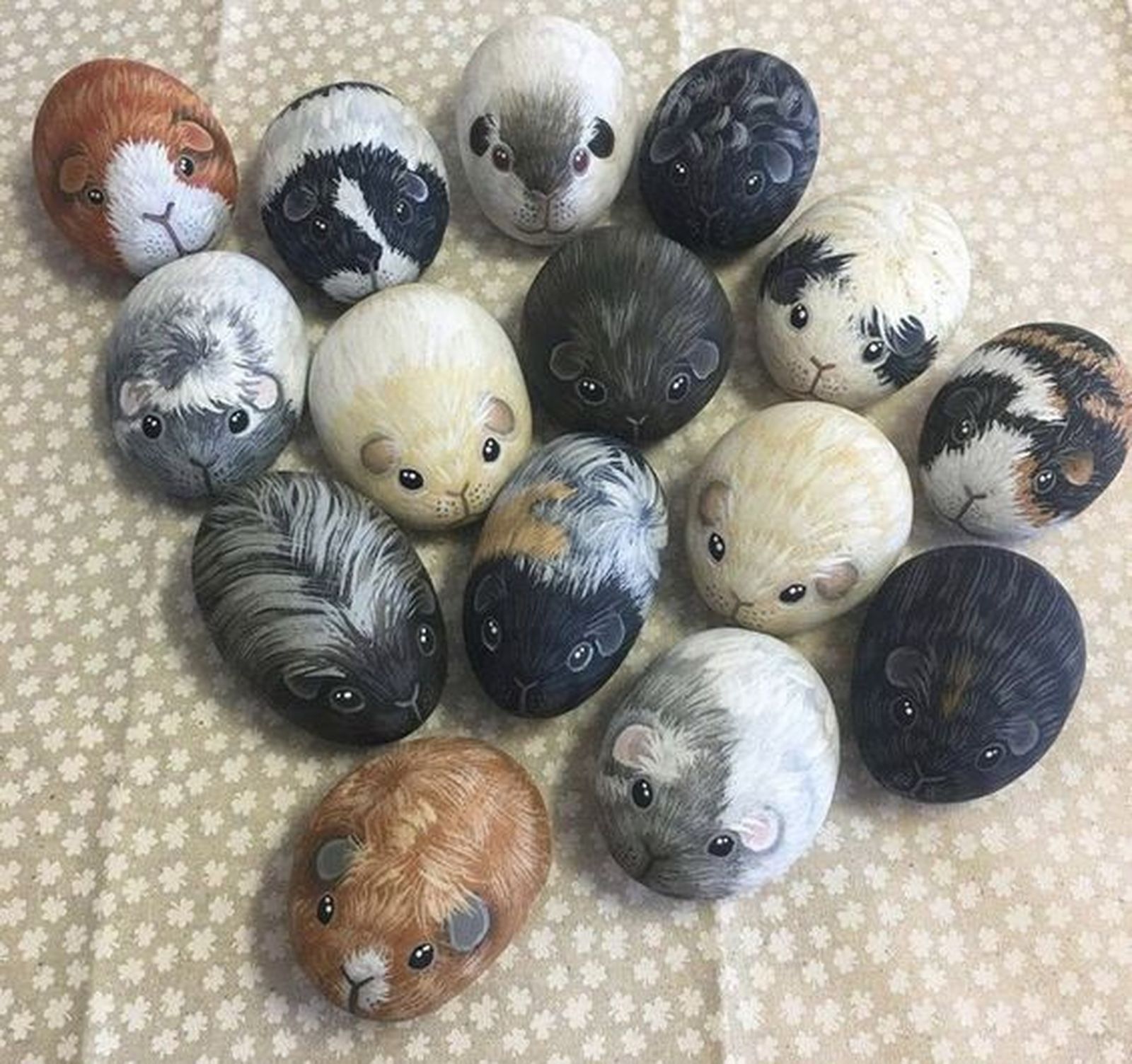 piedras pintadas jardin cobayas pinterest