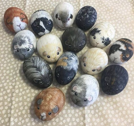 piedras pintadas jardin cobayas pinterest
