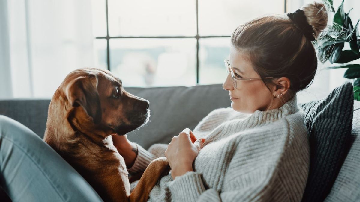 Regalos para personas con mascotas