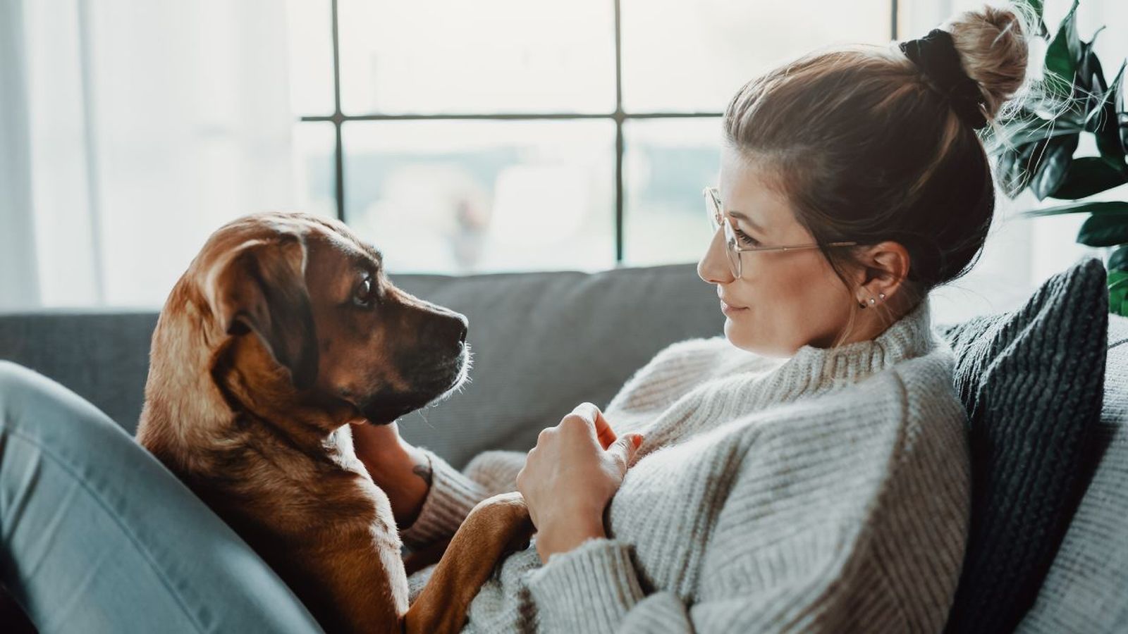 Regalos para personas con mascotas