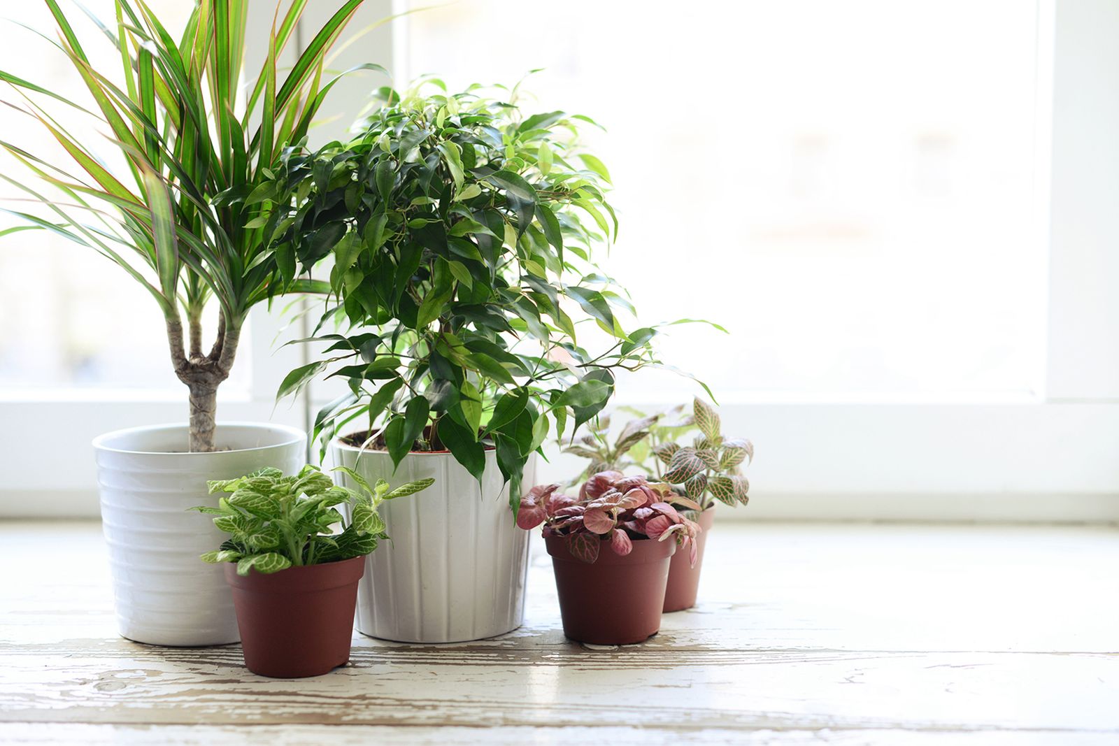 plantas casa1