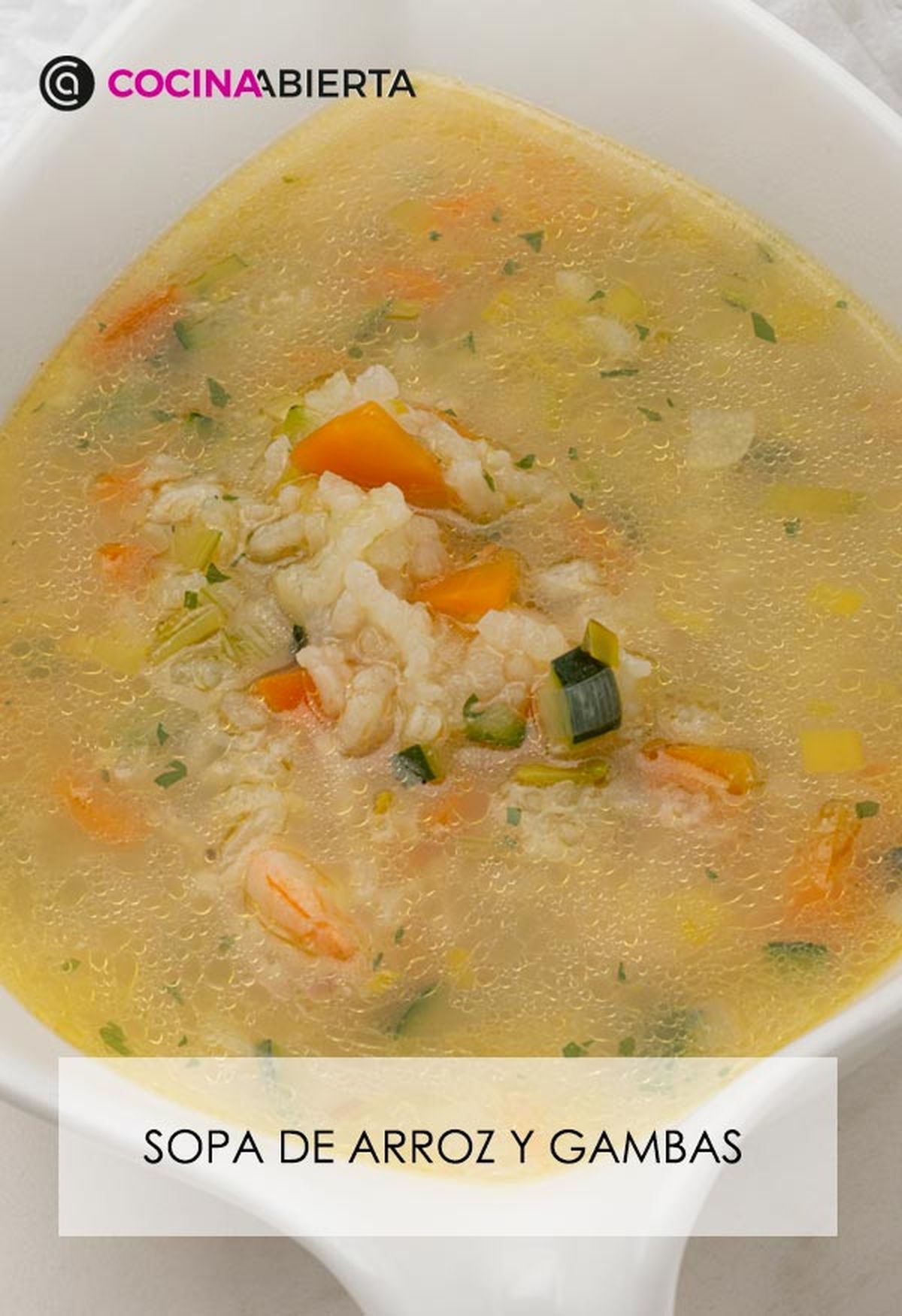 karl6672 sopa arroz v