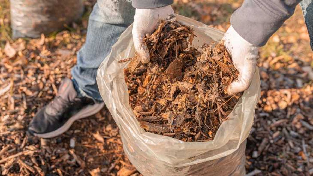 mantillo de residuos organicos