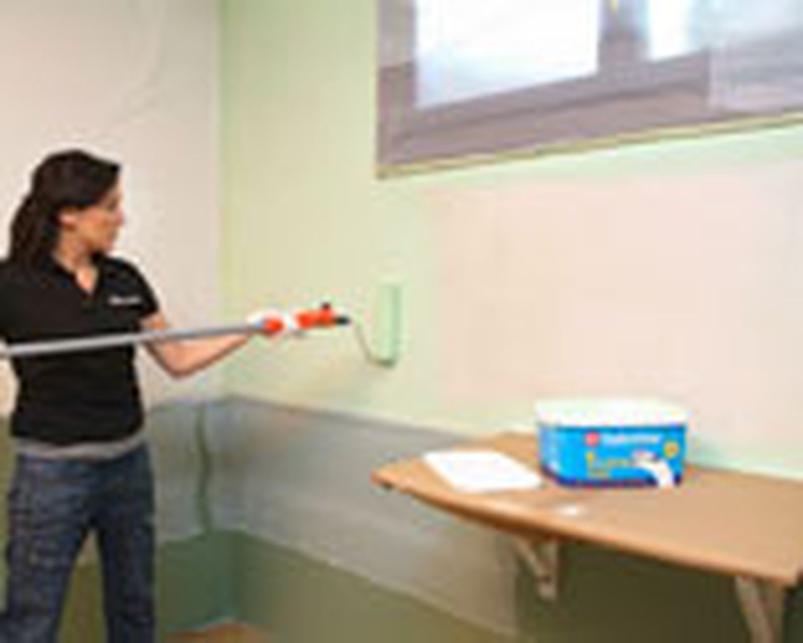 505 Pintar pared de garaje p6