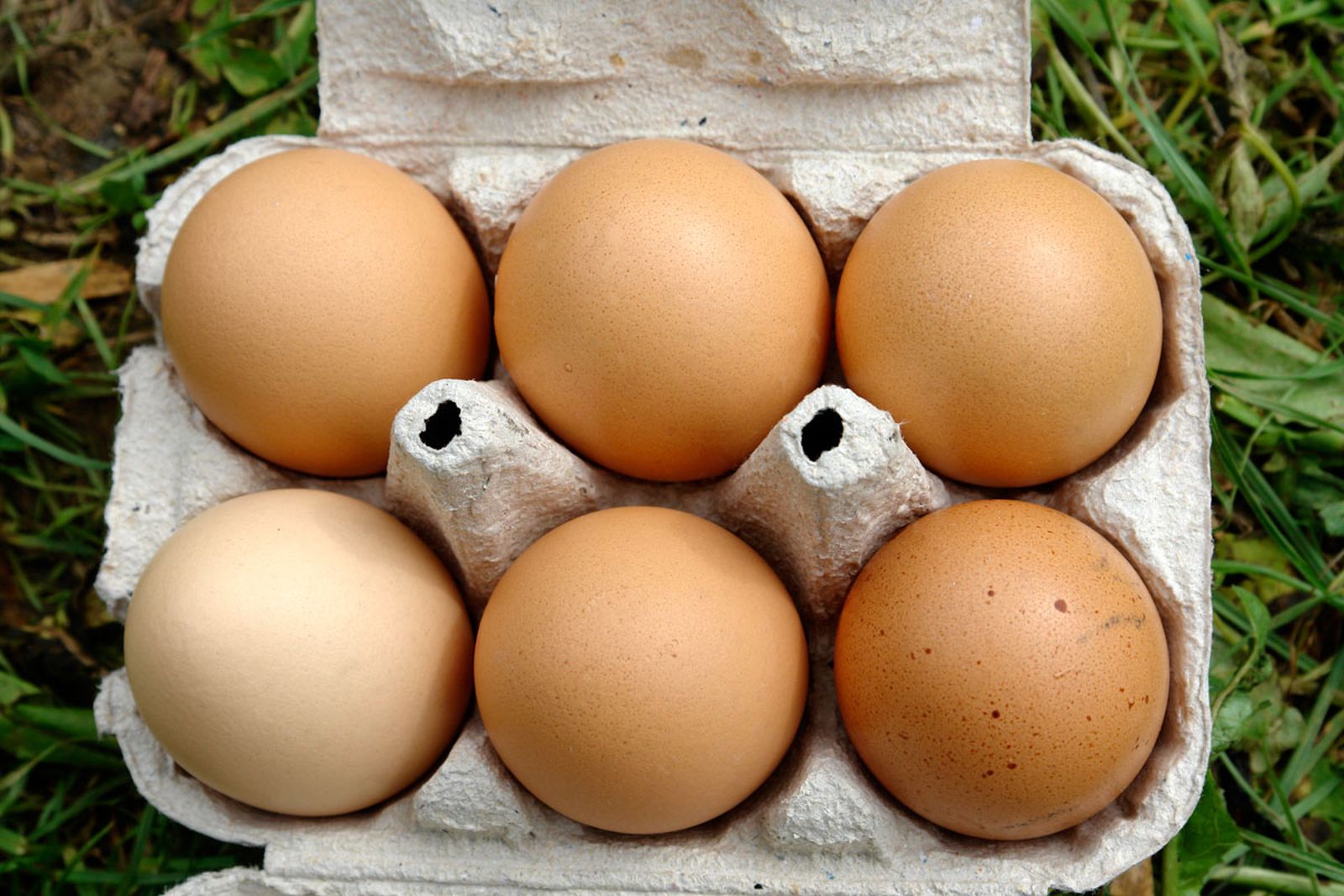 codigo huevos numeracion xl