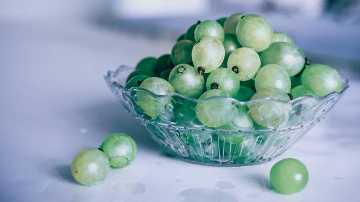 los gatos pueden comer uvas 5