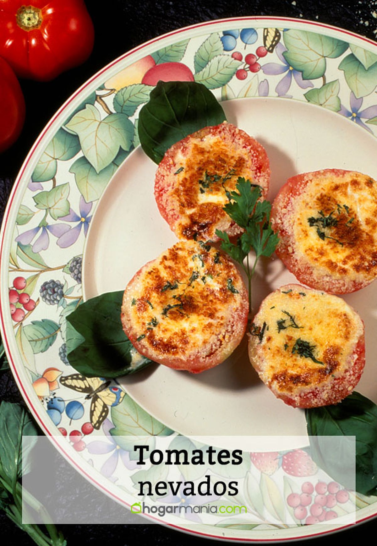 092 1 tomates nevados  pin