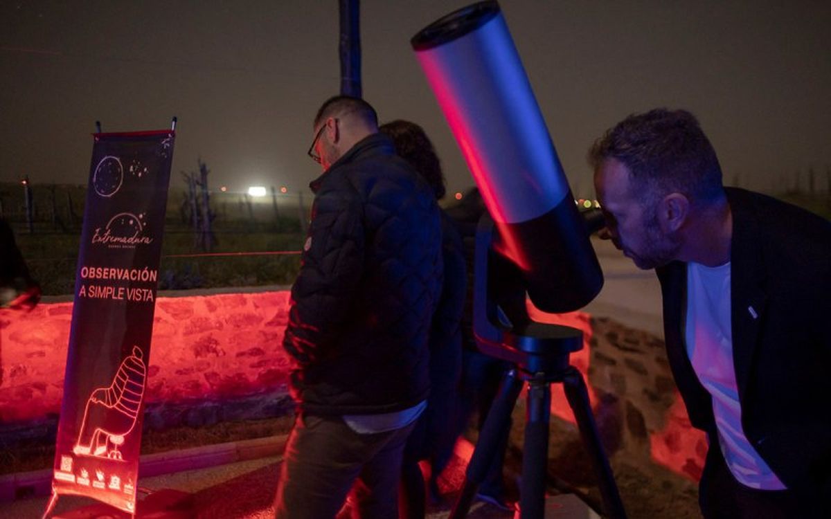 Estar apartadas de las ciudades permite a las bodegas ofrecer un visionado perfecto de las perseidas