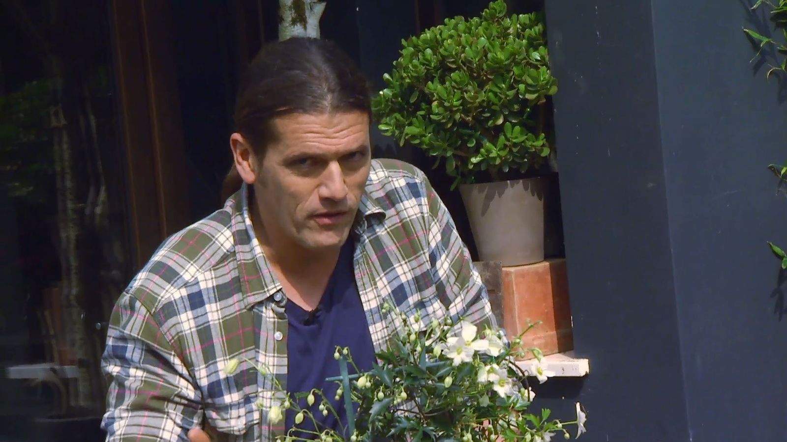 decogarden 653 variedad clematies xl