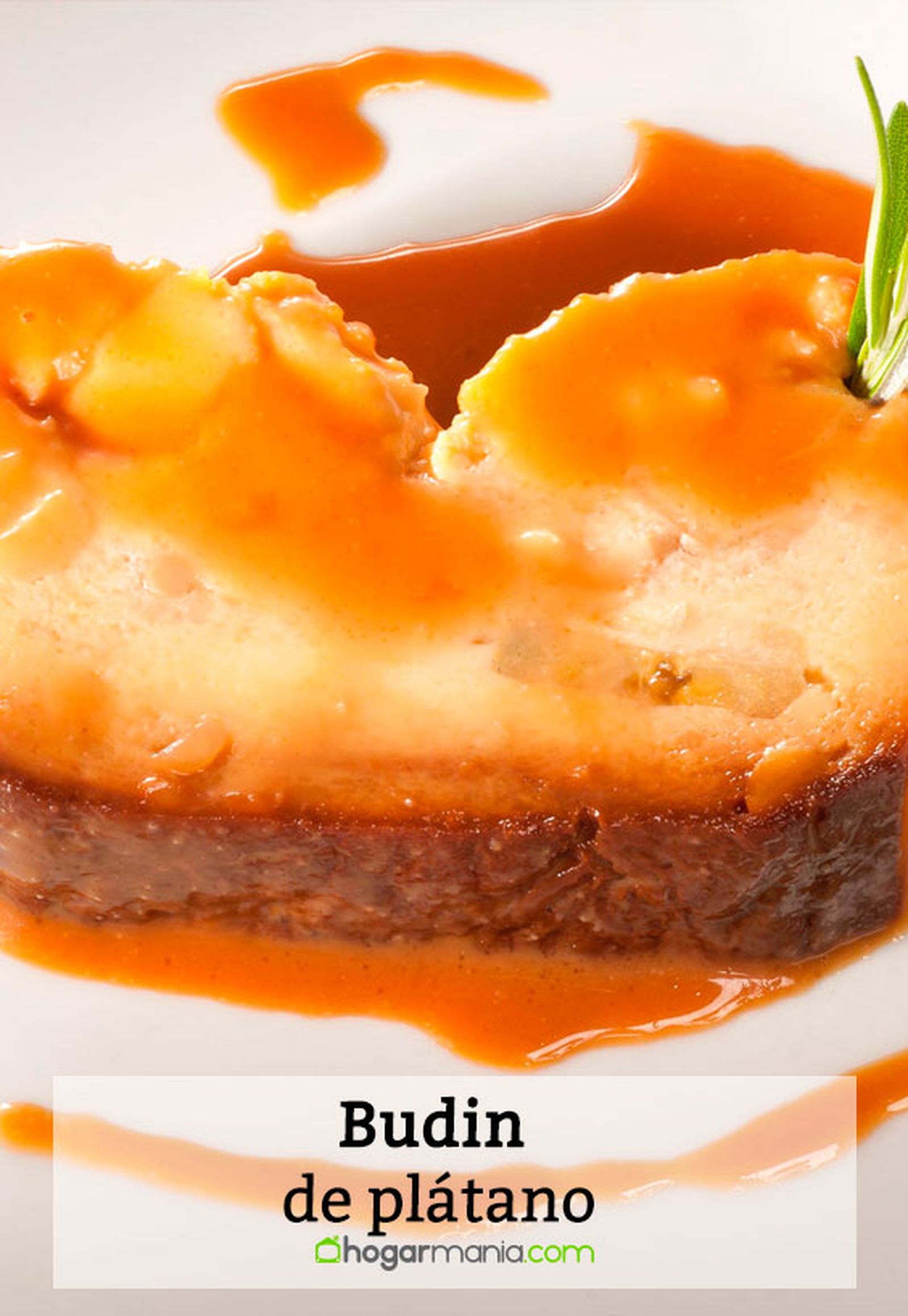budin platano pin