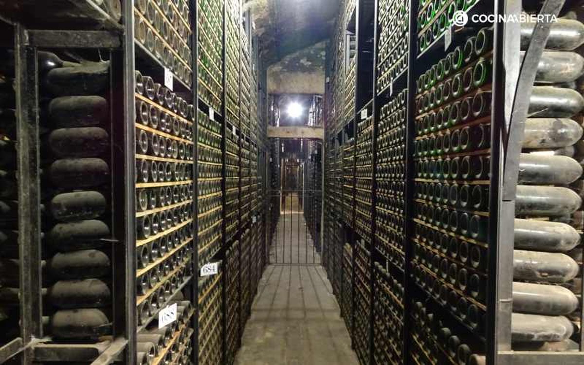 Marqués de Riscal guarda sus vinos antiguos en su botellería