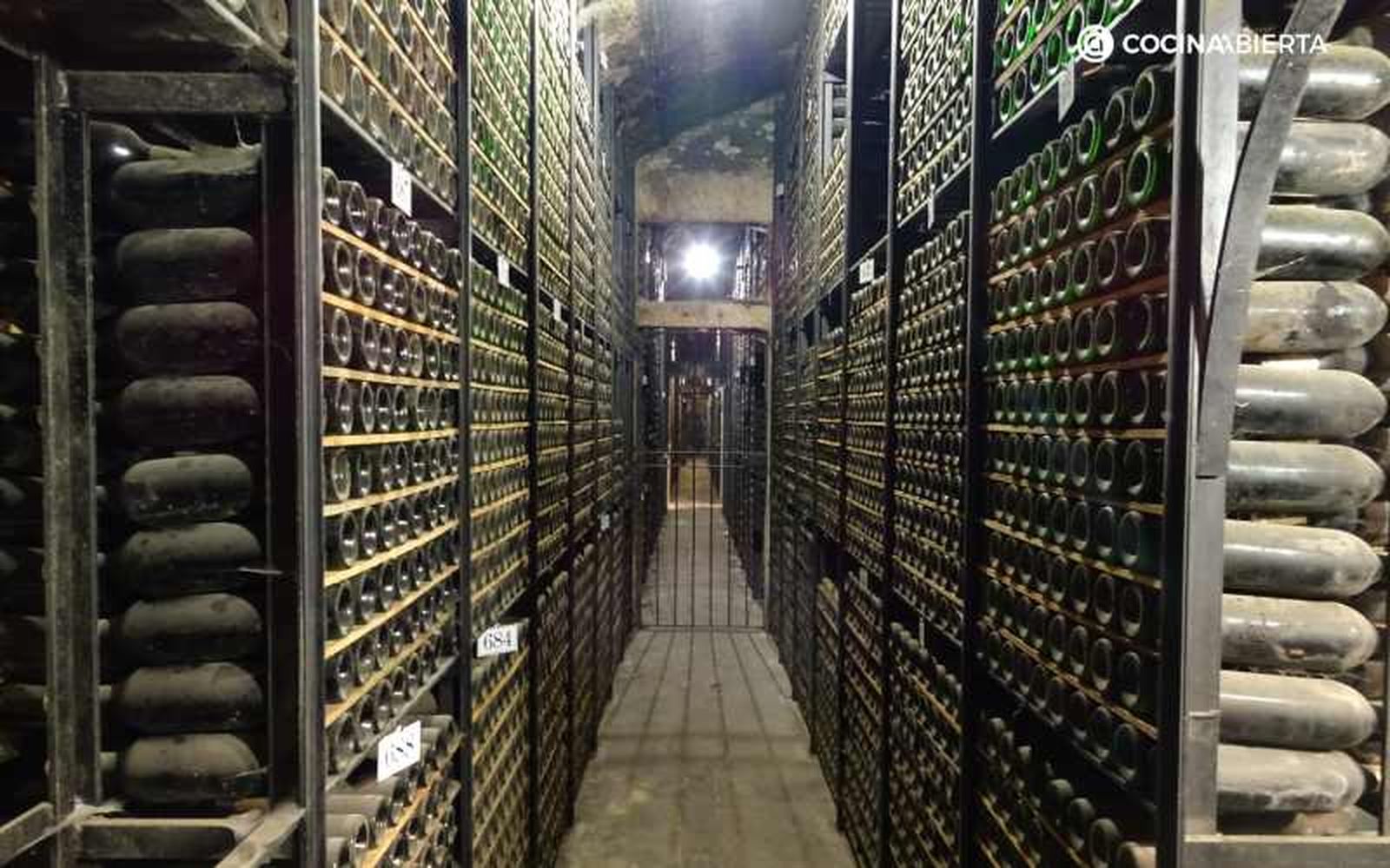 Marqués de Riscal guarda sus vinos antiguos en su botellería