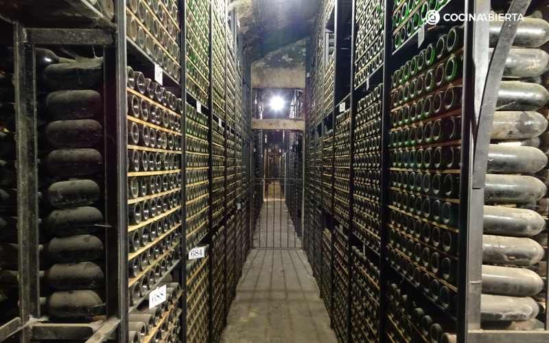 Marqués de Riscal guarda sus vinos antiguos en su botellería