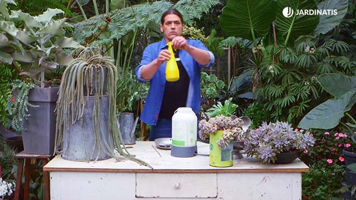 brico 935 3 tierra diatomeas eliminar plaga cochinilla pulverizador