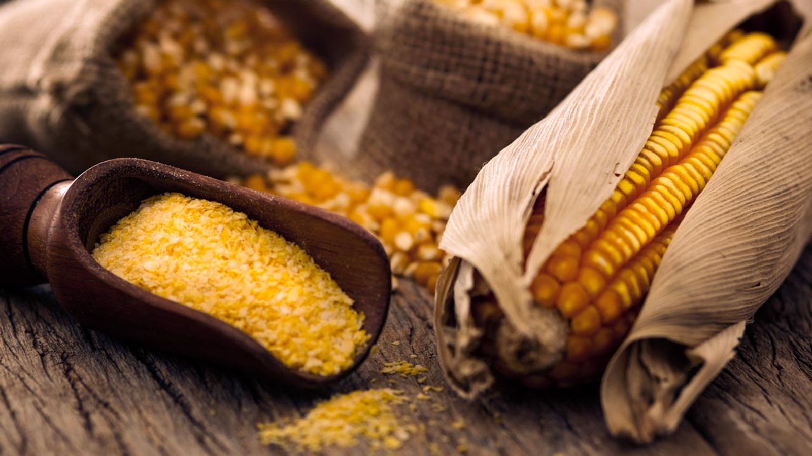 Polenta: origen, tipos y propiedades  polenta amarilla