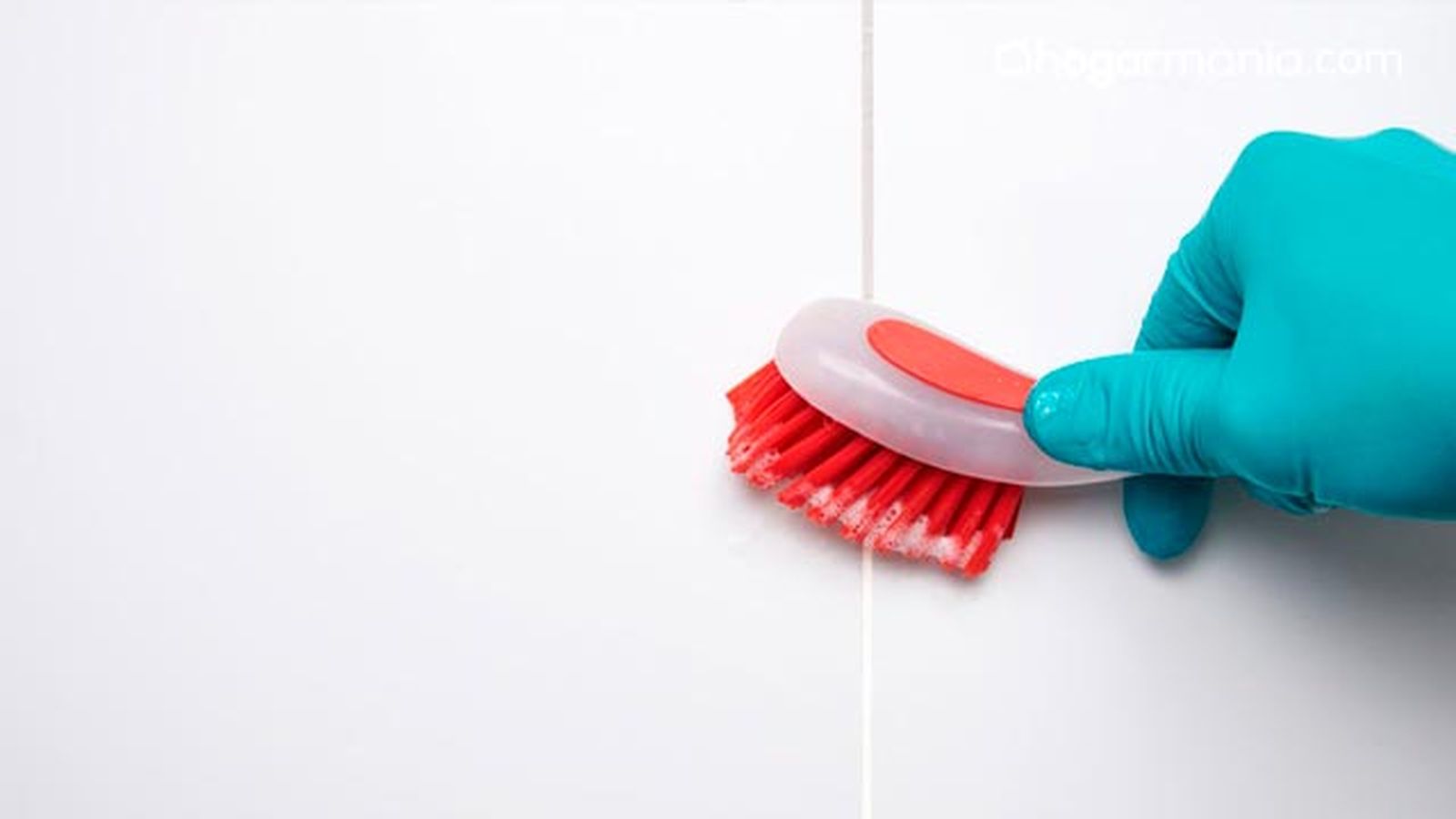 como quitar moho de la banera ducha