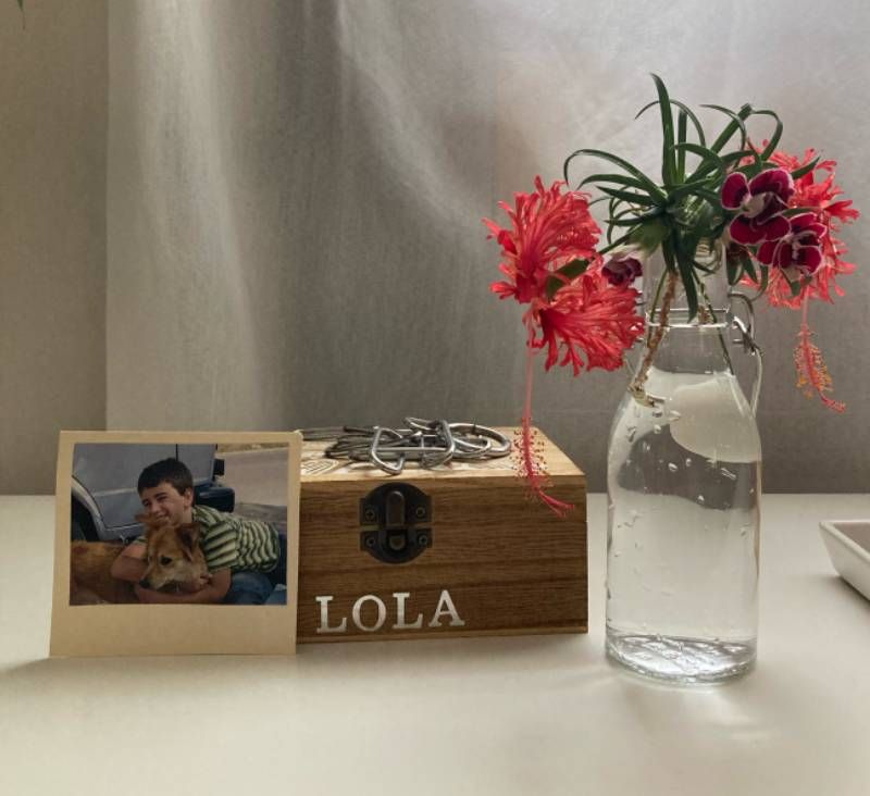 Puedes guardar las cenizas de tu mascota en casa