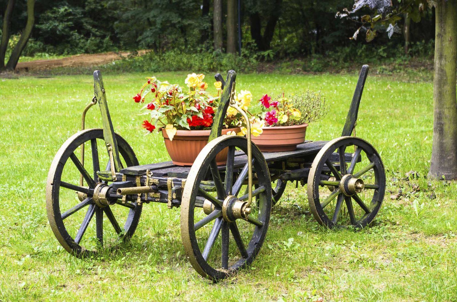 Carros para decorar jardines 3